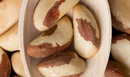 castanha-do-para