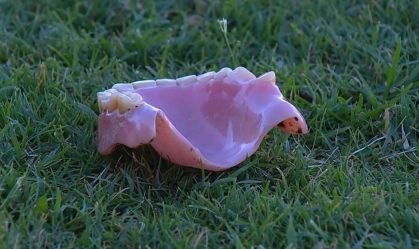 Dentadura foi arremessada em campo na final do Gaúchão