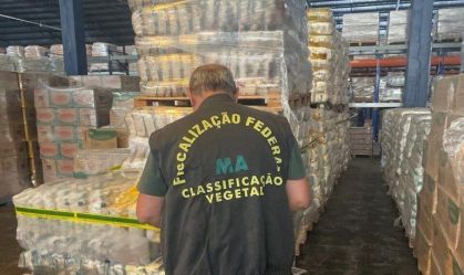 Ministério apreende quase 20 toneladas de arroz "inferior" vendido como tipo 1 em SP e no RS