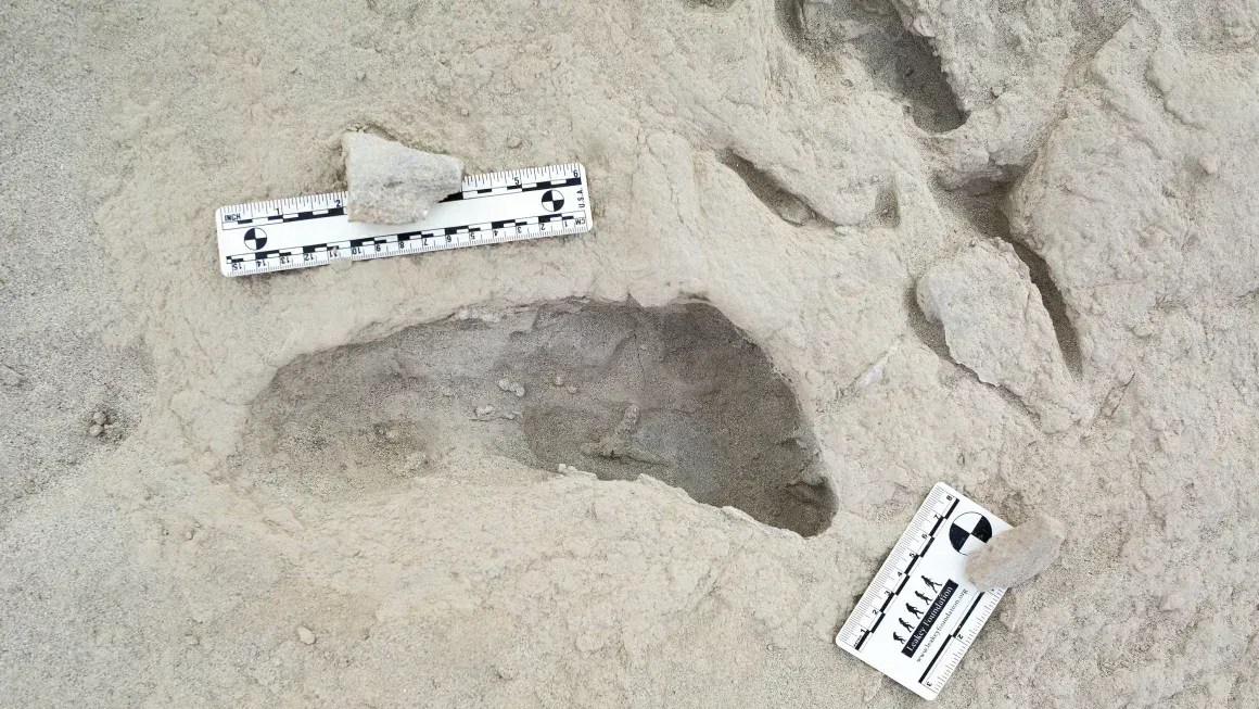 fossil pegada