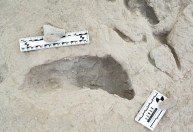Fósseis de pegadas eternizam momento em que duas espécies humanas se cruzaram