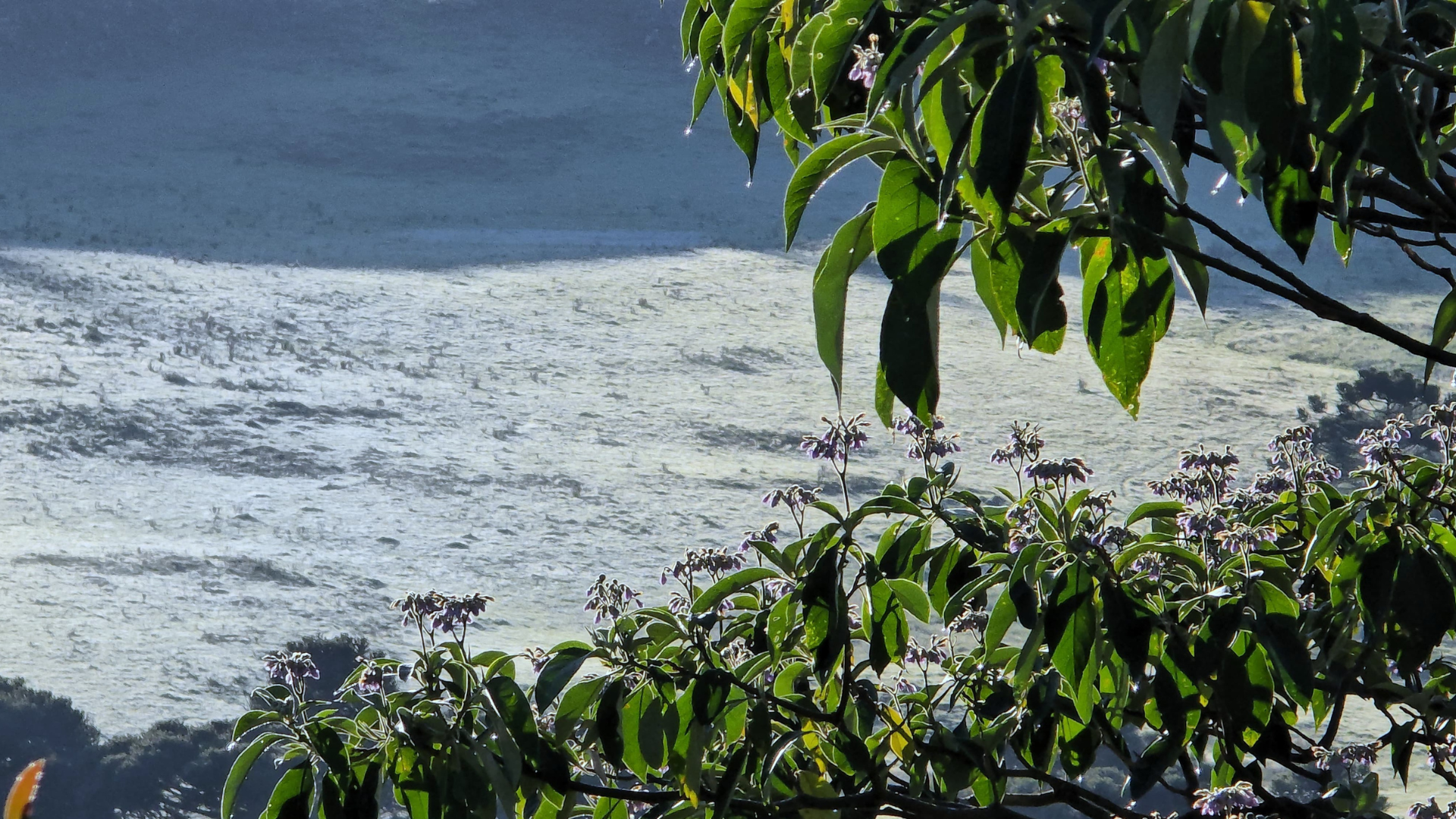 Em meio à primavera, termômetros na Serra Catarinense registram mínima de -0,3°C