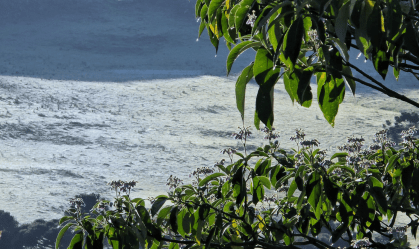 Em meio à primavera, termômetros na Serra Catarinense registram mínima de -0,3°C