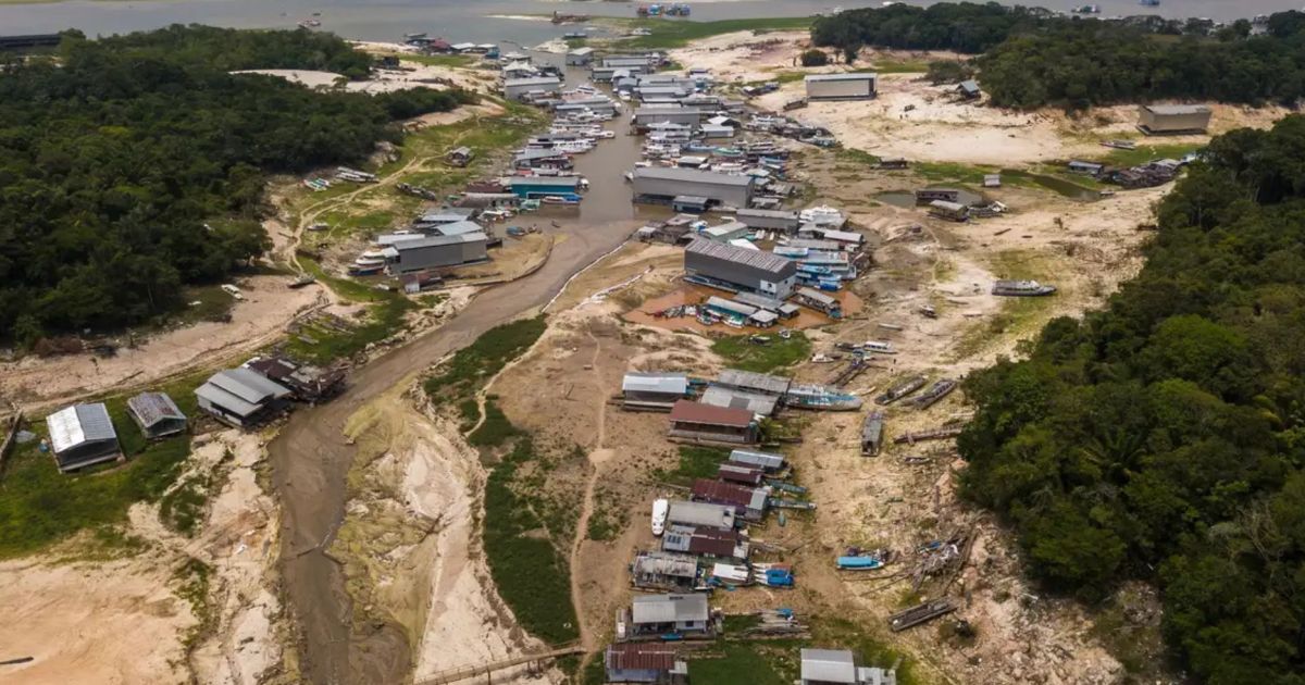 Mais de um terço das localidades da Amazônia enfrentou seca extrema em 2024