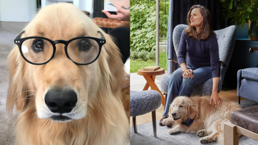Atriz costumava mostrar cenas do golden retriever no dia a dia da casa, fazendo brincadeiras com suas poses e comemorando seus aniversários