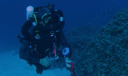 Maior coral do mundo é descoberto no Pacífico e pode ser visto do espaço