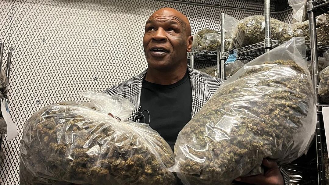 Mike Tyson tem empresa de cannabis desde 2021