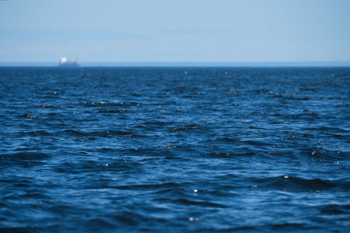Aumento do nível do mar pode afetar disponibilidade de água doce, impactando vidas aquáticas e qualidade da água, segundo especialistas • wirestock/Freepik