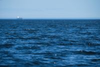 ONU associa saneamento do Brasil a agravamento da poluição marinha