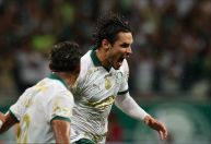 Palmeiras pressiona Botafogo: veja as chances de título no Brasileiro