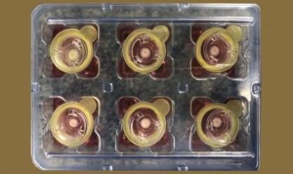 Pesquisadores desenvolvem pele artificial 3D mais parecida com a humana