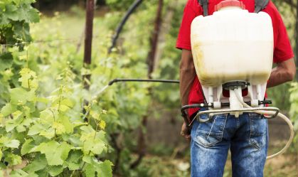 Estudo encontra 22 pesticidas ligados ao câncer de próstata