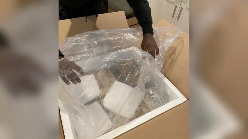 Tia de Noah não esperava receber três caixas de 30 quilos de picolés do Bob Esponja • Cortesia Jennifer Bryant