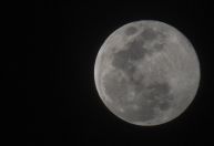 Ciclo lunar: veja calendário das fases da Lua para agosto de 2025