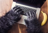 Teorema do macaco infinito é questionado em novo estudo; saiba o que é