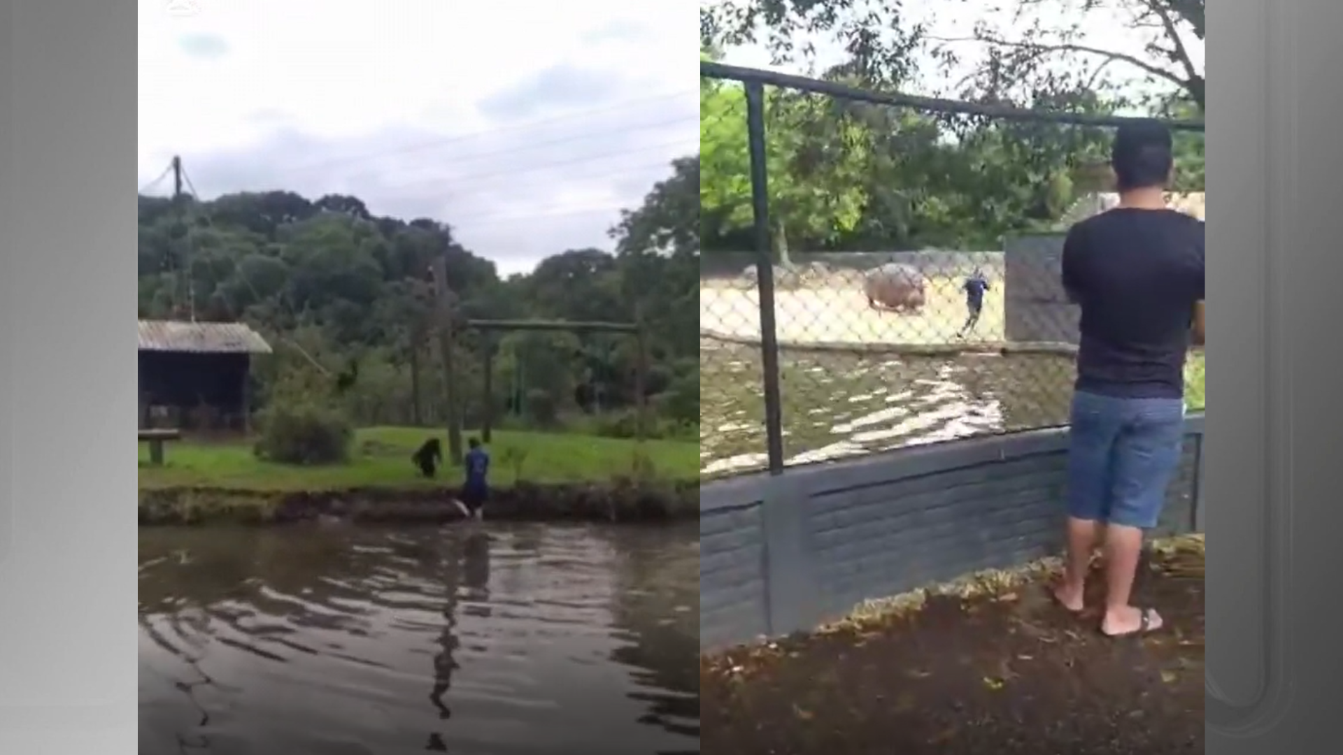 zoo macaco