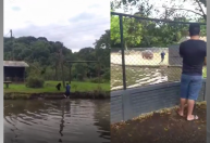 Vídeo: homem é perseguido por hipopótamo após invadir área restrita em zoológico de Curitiba