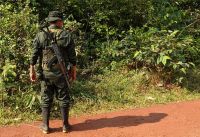 Confrontos entre guerrilheiros na Colômbia deixam 27 mortos, dizem fontes