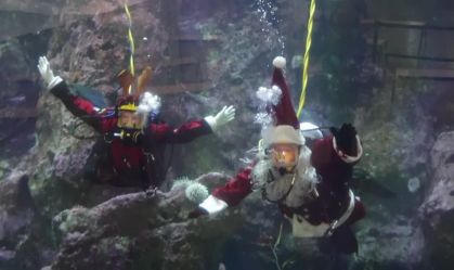 Papai Noel mergulhador atrai visitantes para o Aquário de Seattle