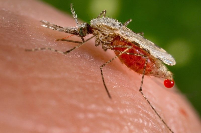 Chuveiro elétrico ligado por 8 minutos consome a mesma quantidade de energia que 75 lâmpadas acesas por 1 hora
