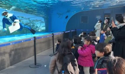 Papai Noel nada com pinguins no Japão na véspera de Natal