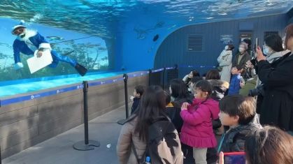 Papai Noel nada com pinguins em Tóquio, no Japão, na véspera de Natal