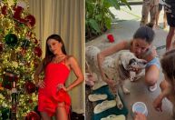 Natal de Anitta é marcado por casa nova e resgate de cachorro; veja fotos
