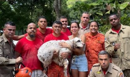 Anitta encontra cachorro que fugiu de casa no Natal: "Achamos o Charlie"