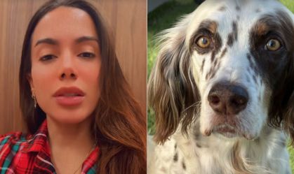 Cachorro de Anitta foge de casa no Natal: "Ainda vai me matar do coração"