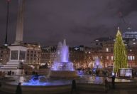 Iluminação de árvore de Natal em Londres vira piada nas redes sociais