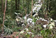 Avião desaparecido no Amazonas é encontrado em área de mata densa