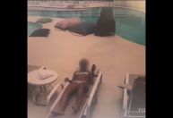 Polícia traça provável trajeto da bala que atingiu mulher em condomínio no Rio