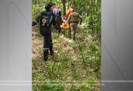 Idoso é resgatado após 30 dias desaparecido em área de mata na Bahia