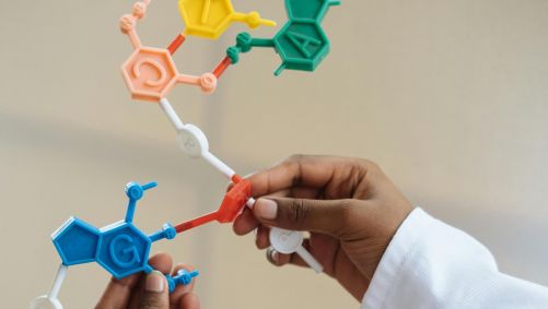 DNA