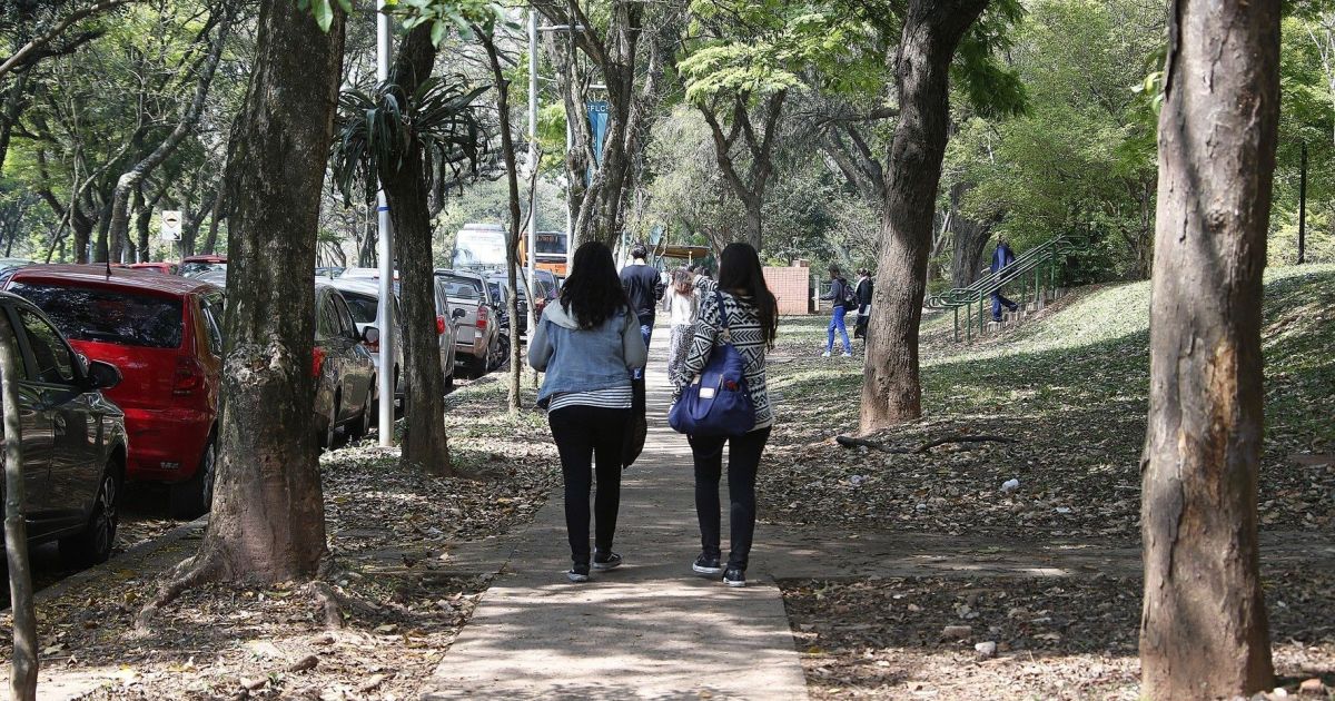 Imagem da notícia - CNN Brasil