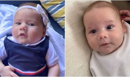 Filhos Virginia