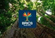 Brics têm nova identidade visual para cúpula no Brasil; veja significado