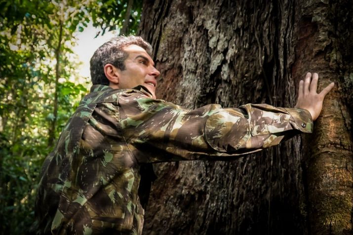 Governador Helder Barbalho esteve na área do Parque, em Almeirim, conheceu a maior árvore da América Latina • Alexandre Costa / Ag. Pará