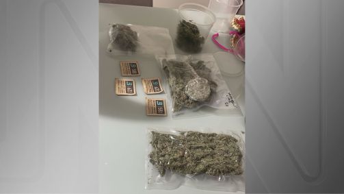 Droga apreendida durante operação na Paraíba