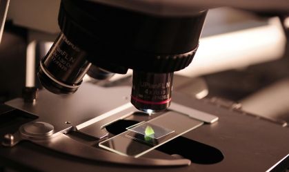 10 pessoas que moldaram a ciência em 2024, segundo a Nature