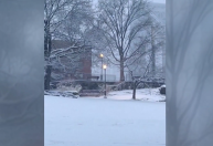 Vídeo: Cidade de Nova York é coberta por neve antes do Natal