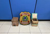 "Operação Zangão": PF investiga comércio ilegal de colmeias e mel em Goiás