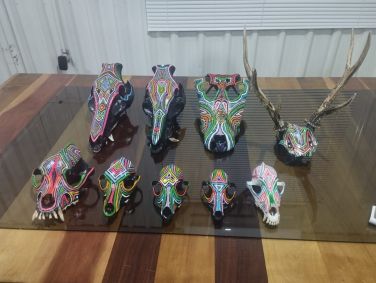 O caso ocorreu no município de Bonito (MS)