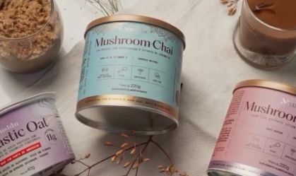 Mercado de cogumelos funcionais projeta chegar a US$ 54 bi em 2030