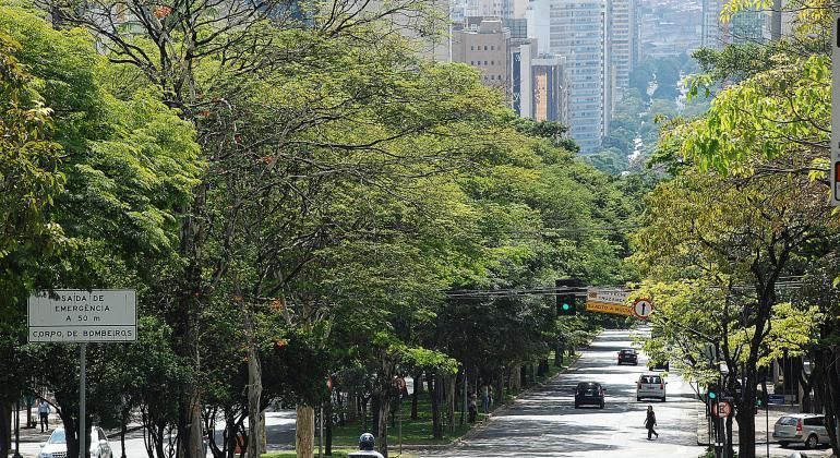 Meio Ambiente