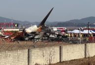 Penas e sangue são encontrados em motor de avião que caiu na Coreia do Sul