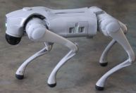 GCM usará cão robô como estratégia de segurança no Réveillon em São Paulo