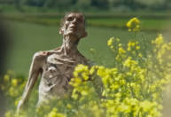 Cillian Murphy aparece irreconhecível em trailer de “Extermínio: A Evolução”