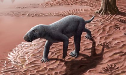 Fóssil mais antigo de animal anterior a dinossauros é encontrado na Espanha