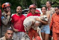 Cachorro da cantora Anitta se assusta com fogos, cava buraco na mansão e é resgatado por bombeiros no RJ